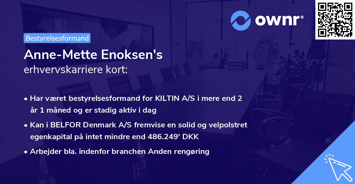 Anne-Mette Enoksen's erhvervskarriere kort