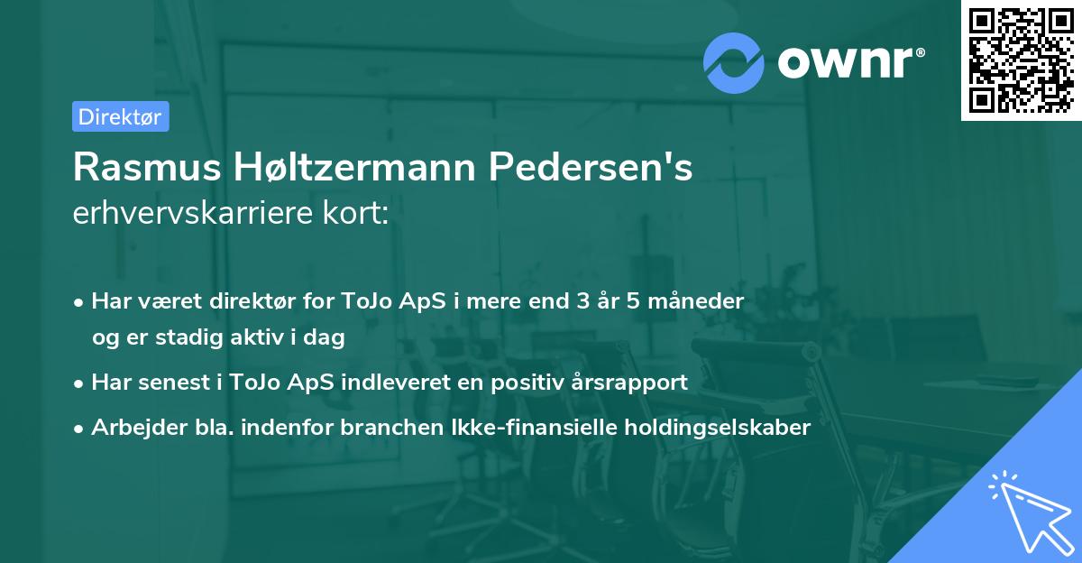 Rasmus Høltzermann Pedersen's erhvervskarriere kort