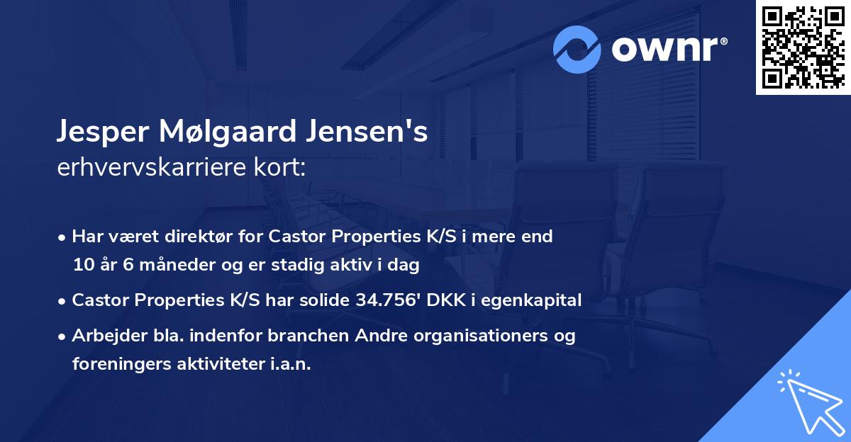 Jesper Mølgaard Jensen's erhvervskarriere kort