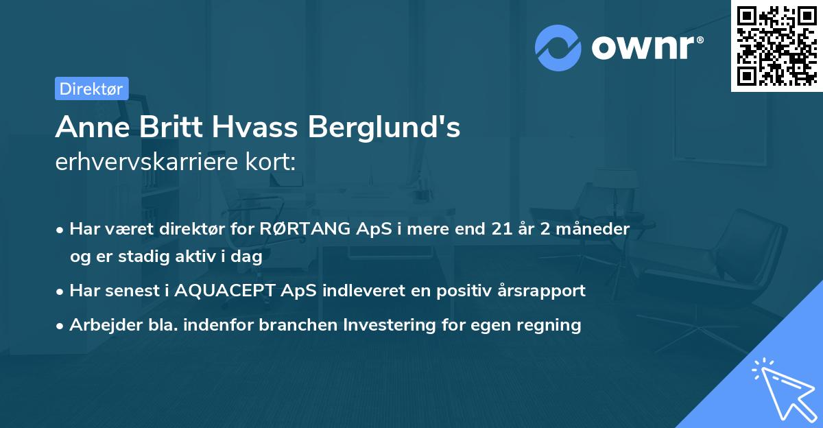 Anne Britt Hvass Berglund's erhvervskarriere kort