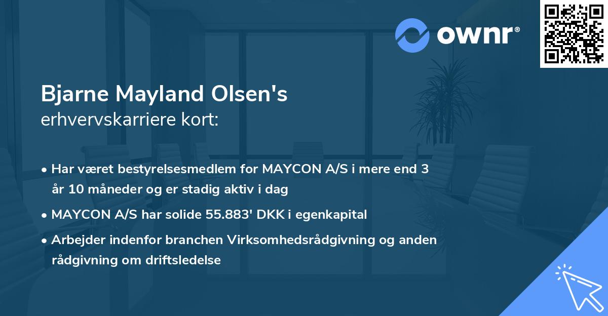 Bjarne Mayland Olsen's erhvervskarriere kort