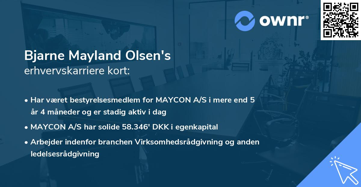 Bjarne Mayland Olsen's erhvervskarriere kort