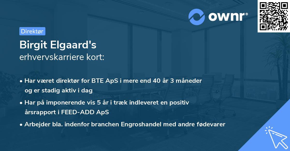 Birgit Elgaard's erhvervskarriere kort