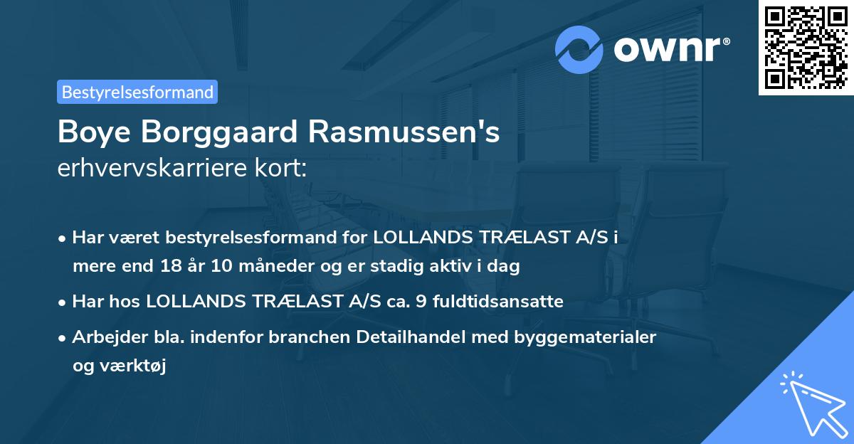 Boye Borggaard Rasmussen's erhvervskarriere kort