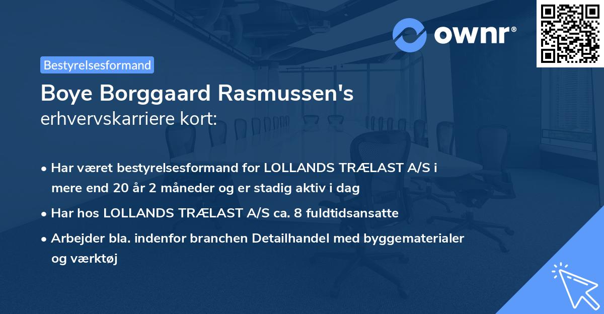 Boye Borggaard Rasmussen's erhvervskarriere kort