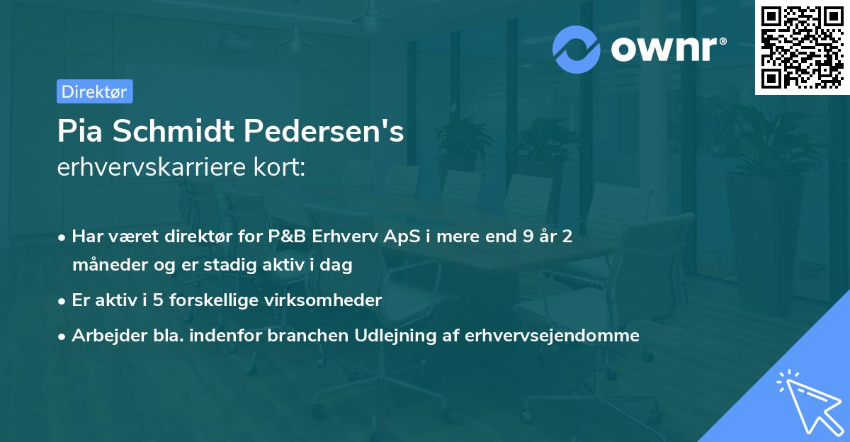 Pia Schmidt Pedersen's erhvervskarriere kort