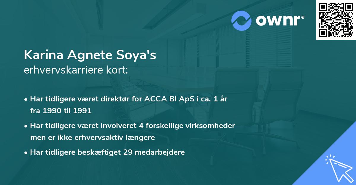 Karina Agnete Soya's erhvervskarriere kort