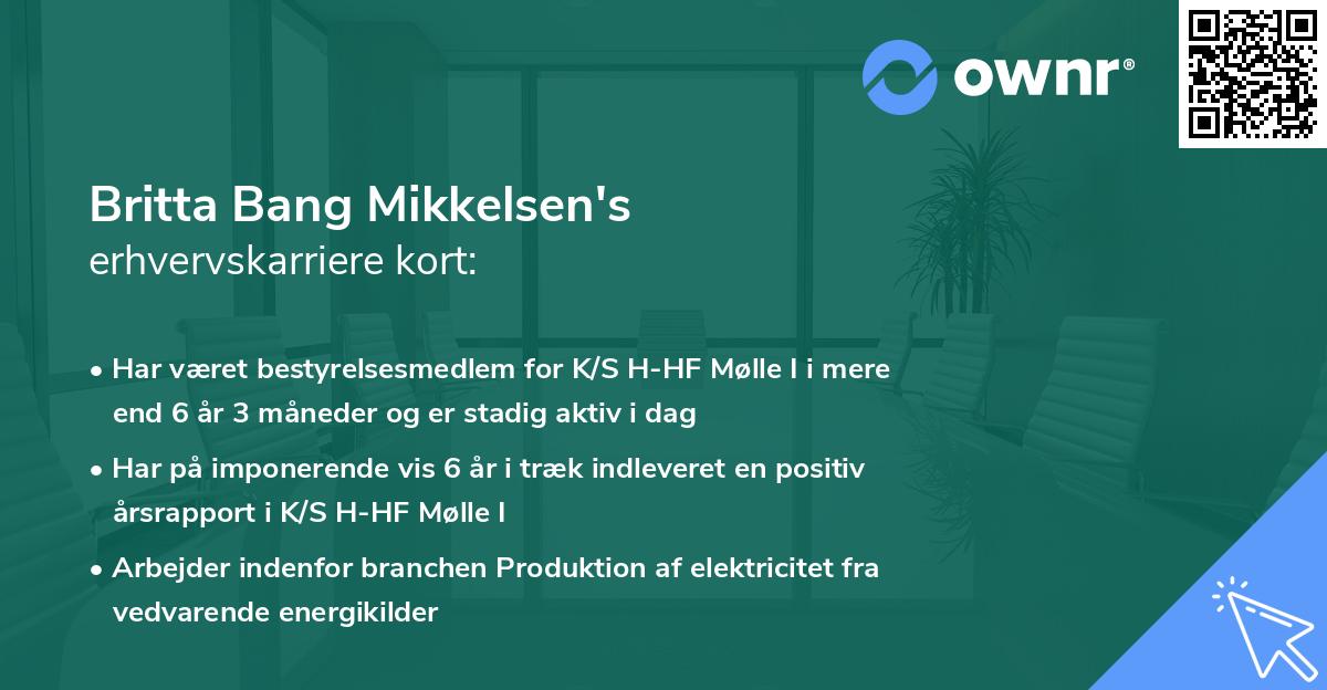 Britta Bang Mikkelsen's erhvervskarriere kort