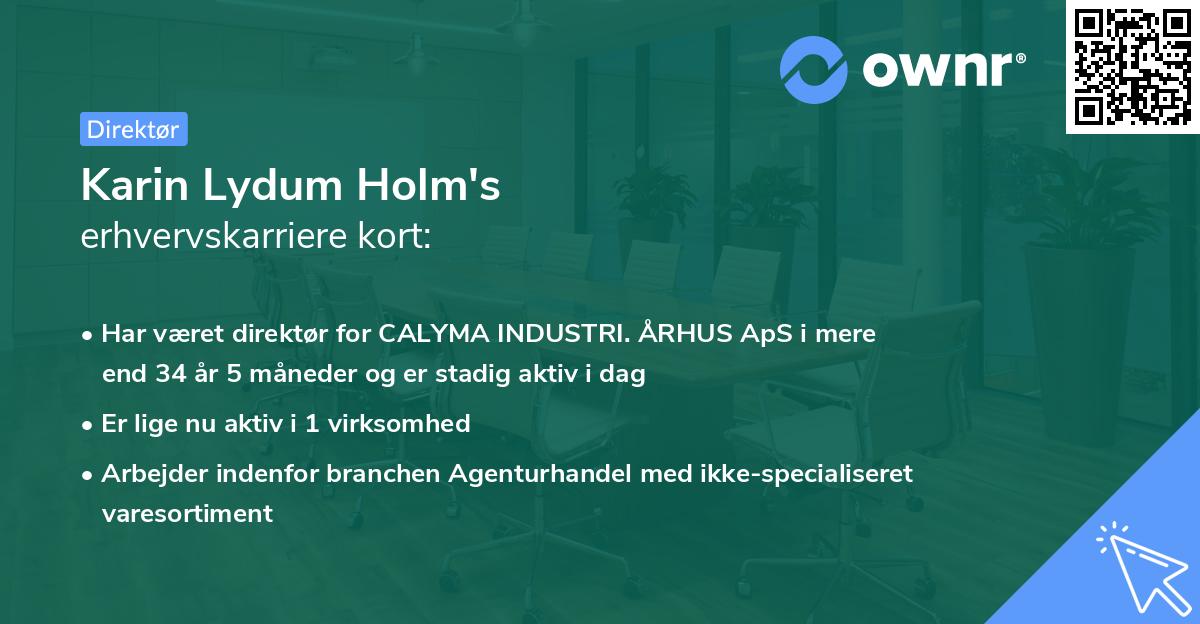 Karin Lydum Holm's erhvervskarriere kort