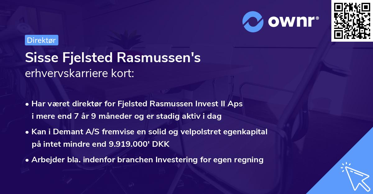 Sisse Fjelsted Rasmussen's erhvervskarriere kort