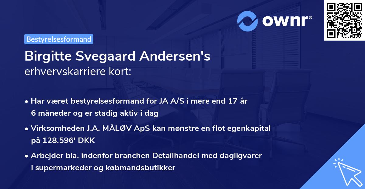 Birgitte Svegaard Andersen's erhvervskarriere kort