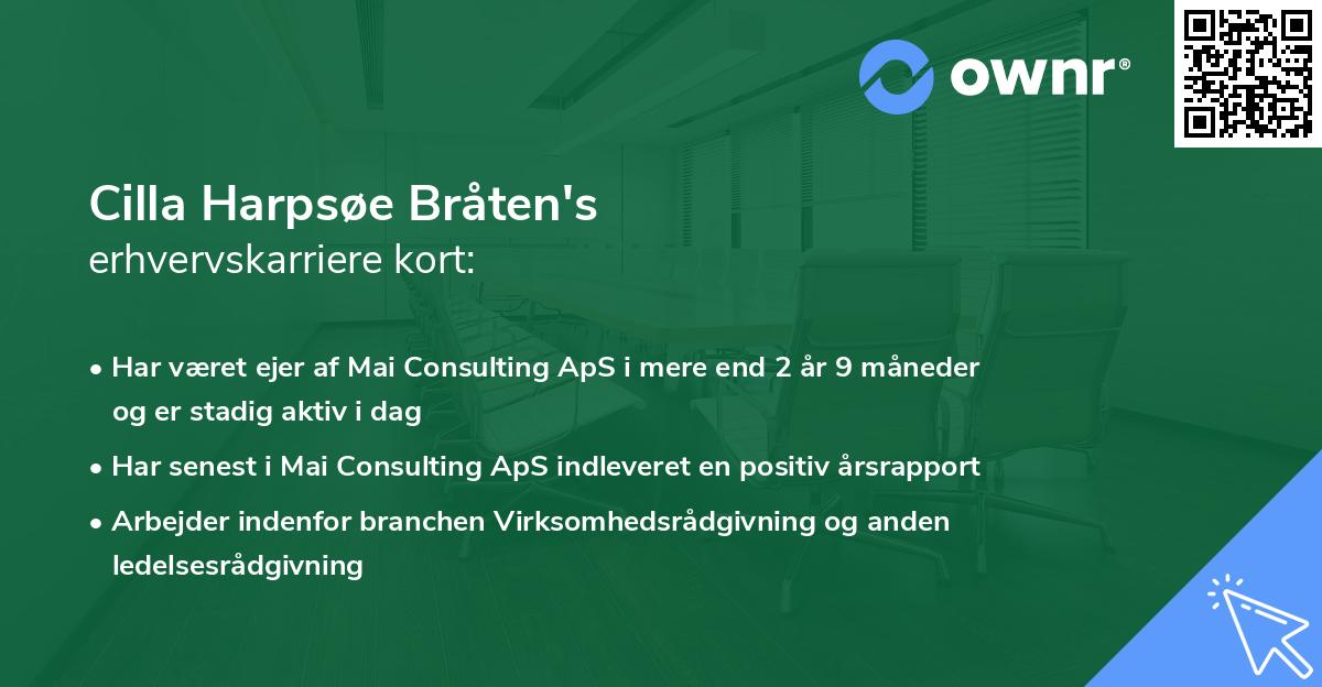 Cilla Harpsøe Bråten's erhvervskarriere kort