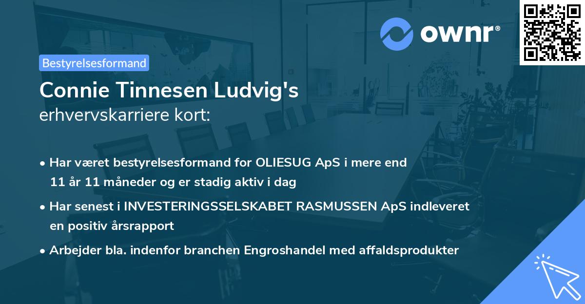 Connie Tinnesen Ludvig's erhvervskarriere kort