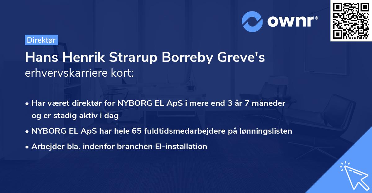 Hans Henrik Strarup Borreby Greve's erhvervskarriere kort