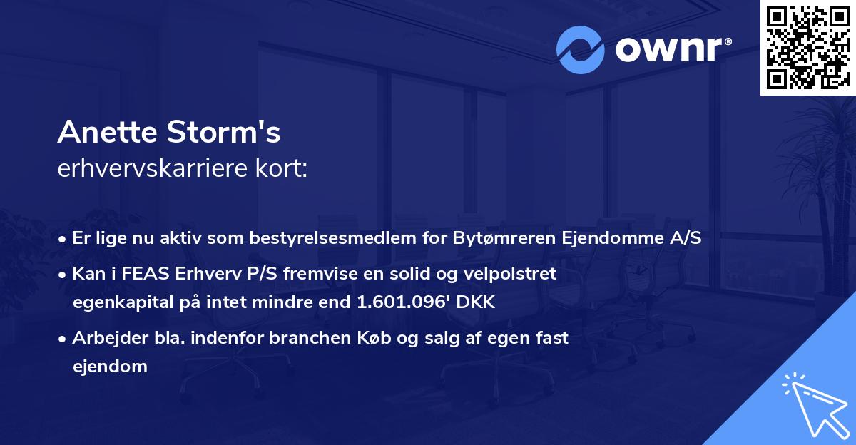 Anette Storm's erhvervskarriere kort