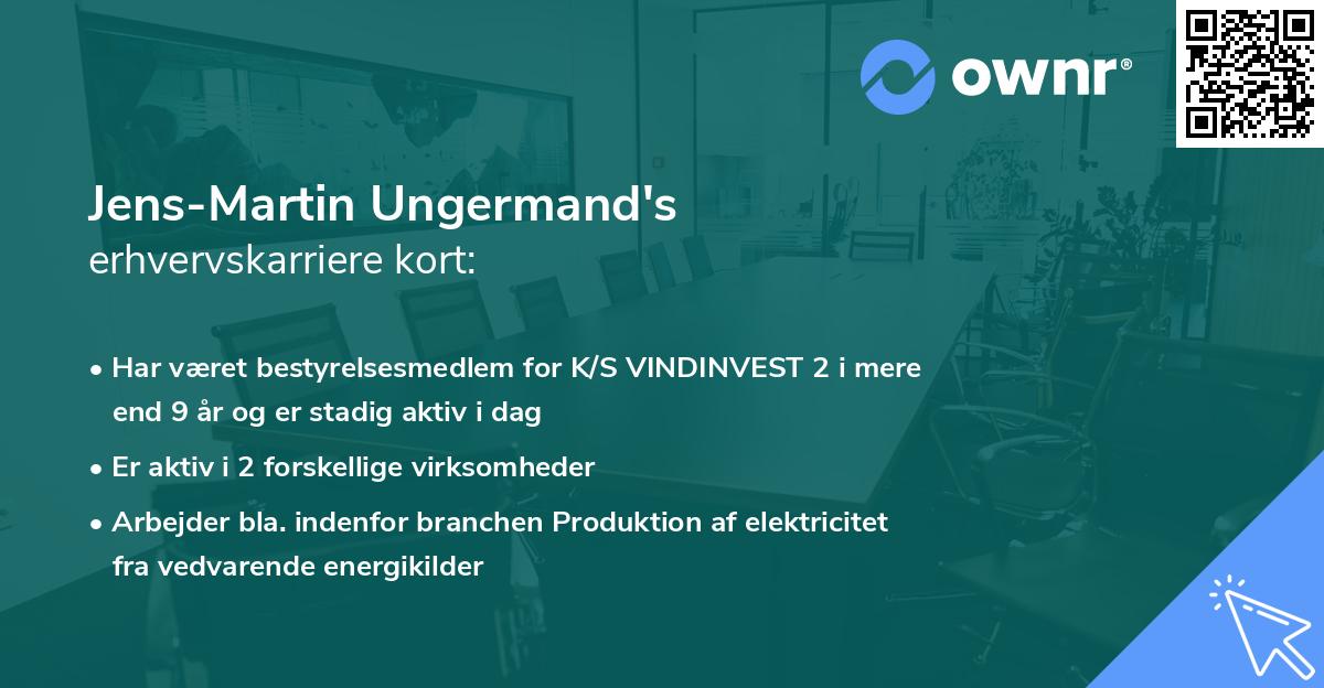 Jens-Martin Ungermand's erhvervskarriere kort