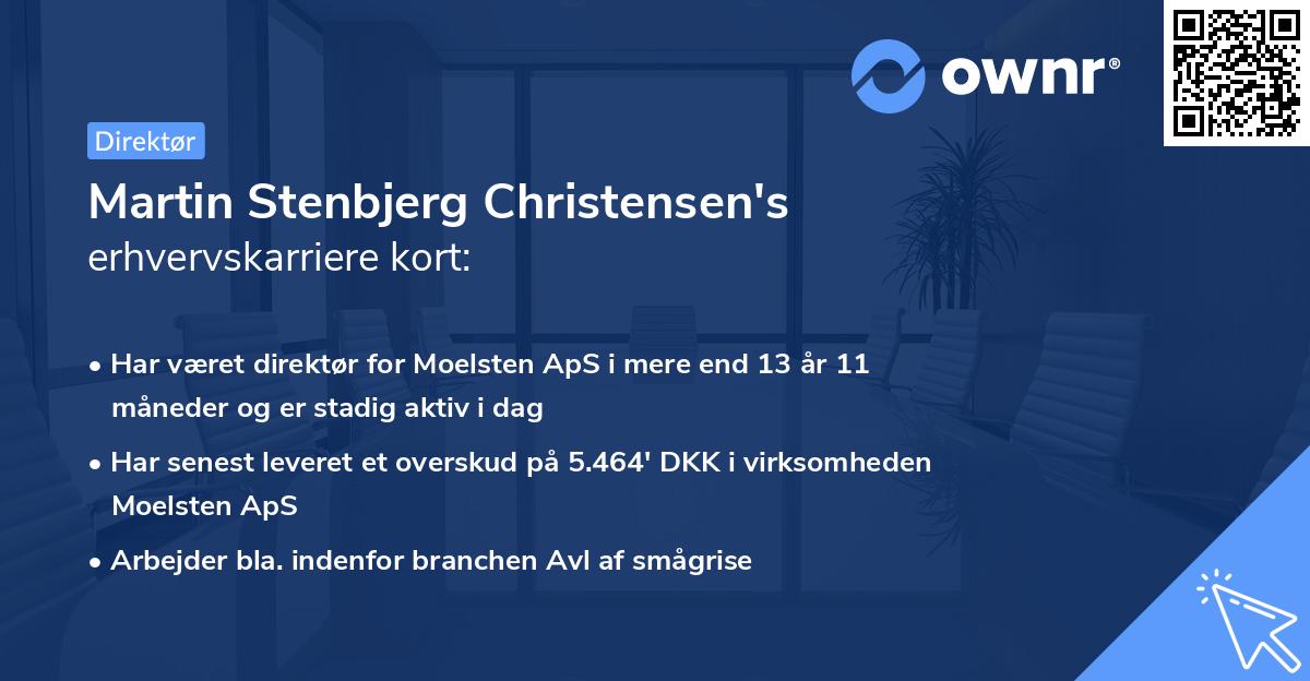 Martin Stenbjerg Christensen's erhvervskarriere kort