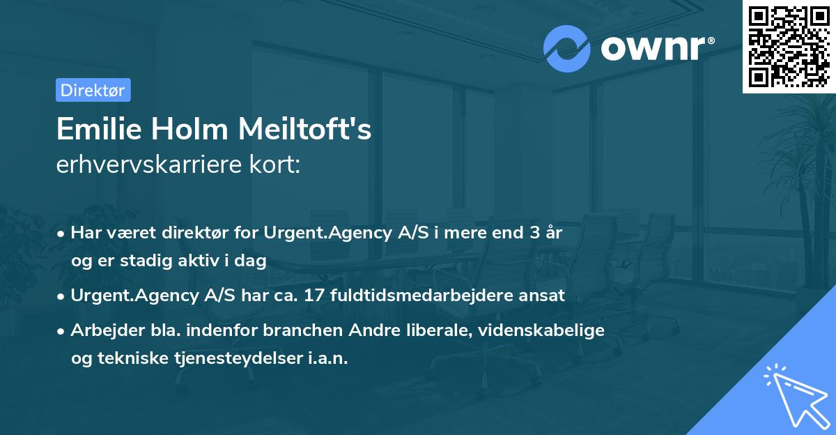 Emilie Holm Meiltoft's erhvervskarriere kort