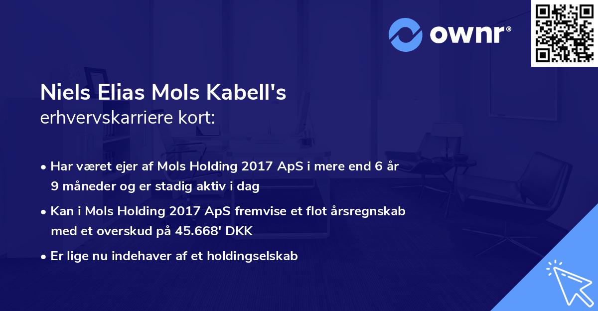 Niels Elias Mols Kabell's erhvervskarriere kort