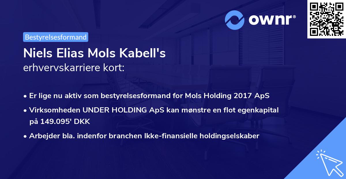 Niels Elias Mols Kabell's erhvervskarriere kort