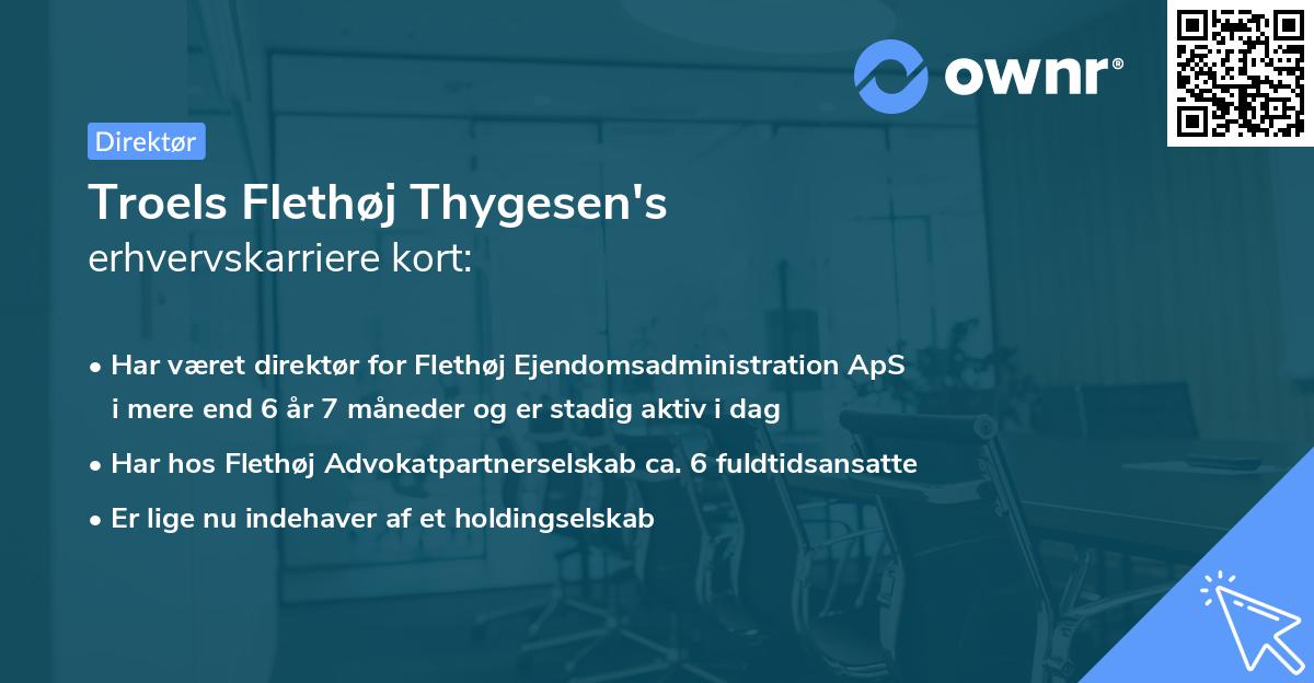 Troels Flethøj Thygesen's erhvervskarriere kort