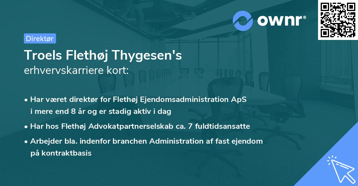 Troels Flethøj Thygesen's erhvervskarriere kort