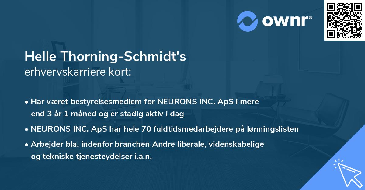 Helle Thorning-Schmidt's erhvervskarriere kort