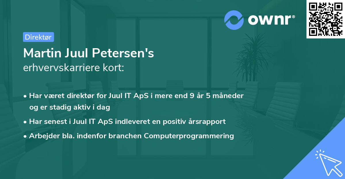 Martin Juul Petersen's erhvervskarriere kort