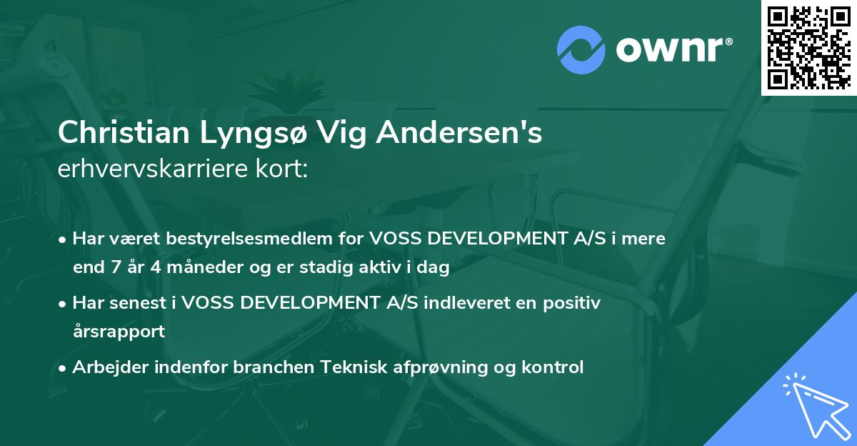 Christian Lyngsø Vig Andersen's erhvervskarriere kort