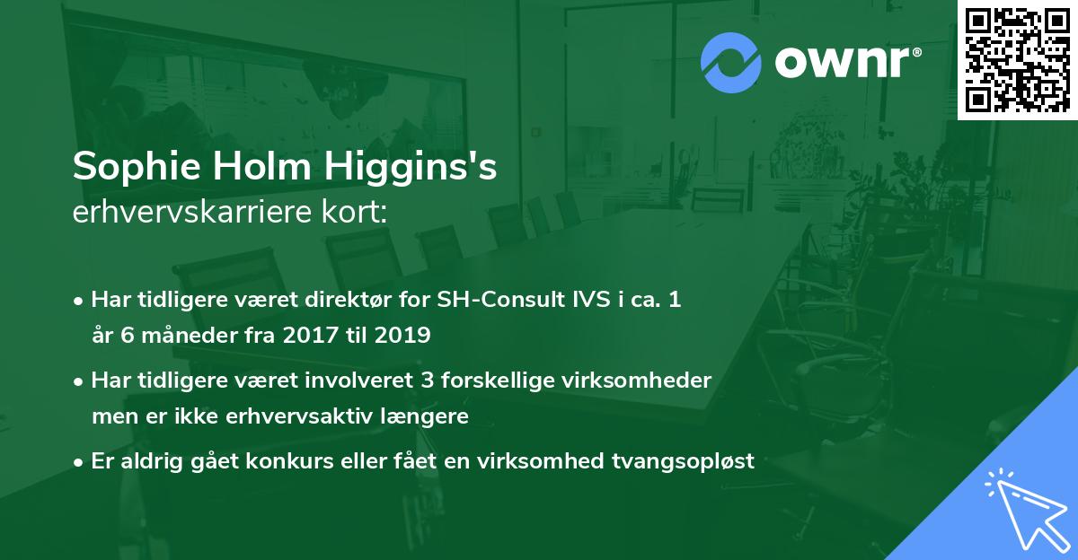 Sophie Holm Higgins's erhvervskarriere kort