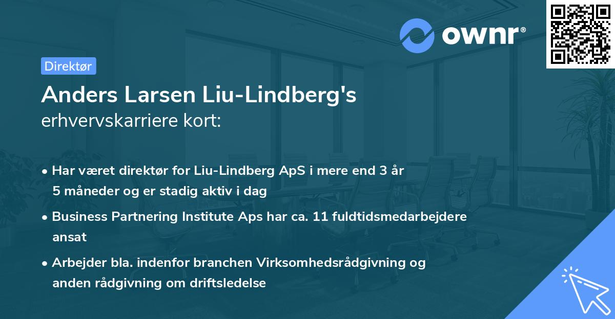 Anders Larsen Liu-Lindberg's erhvervskarriere kort