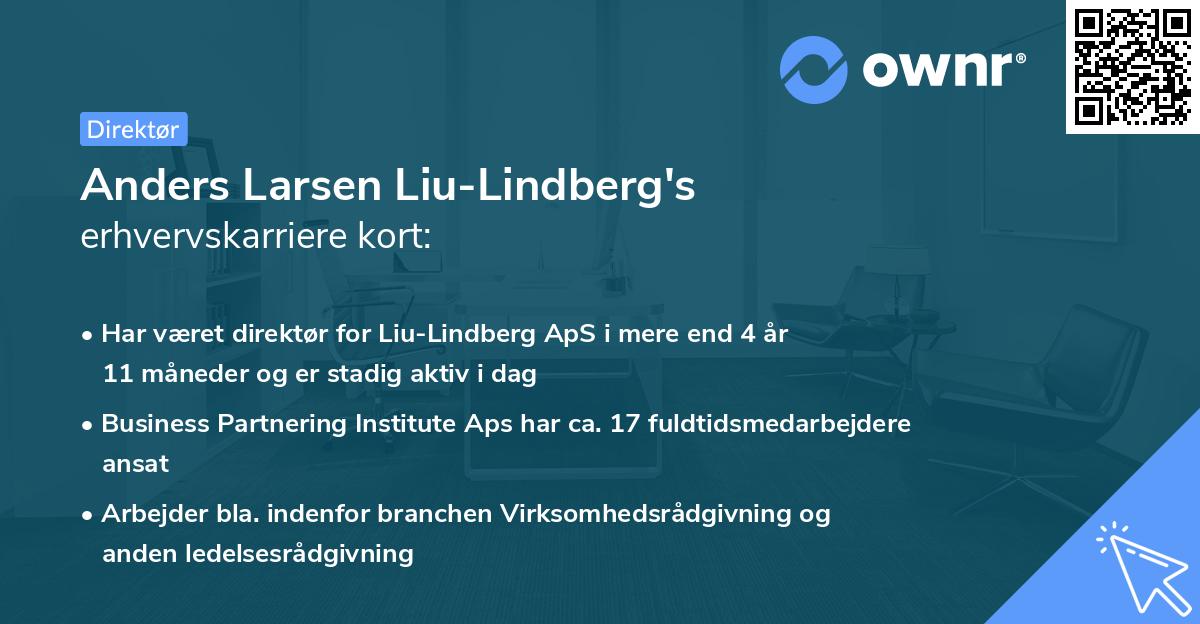 Anders Larsen Liu-Lindberg's erhvervskarriere kort