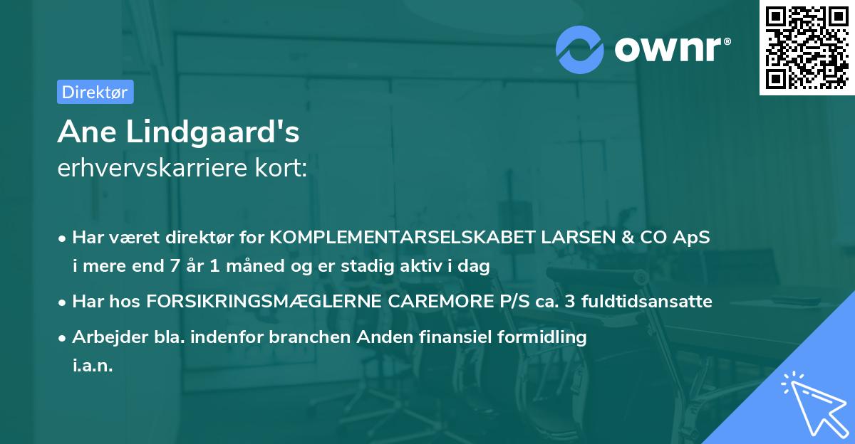 Ane Lindgaard's erhvervskarriere kort