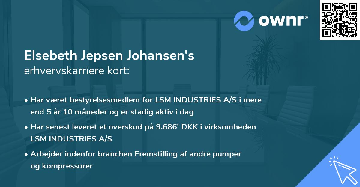 Elsebeth Jepsen Johansen's erhvervskarriere kort