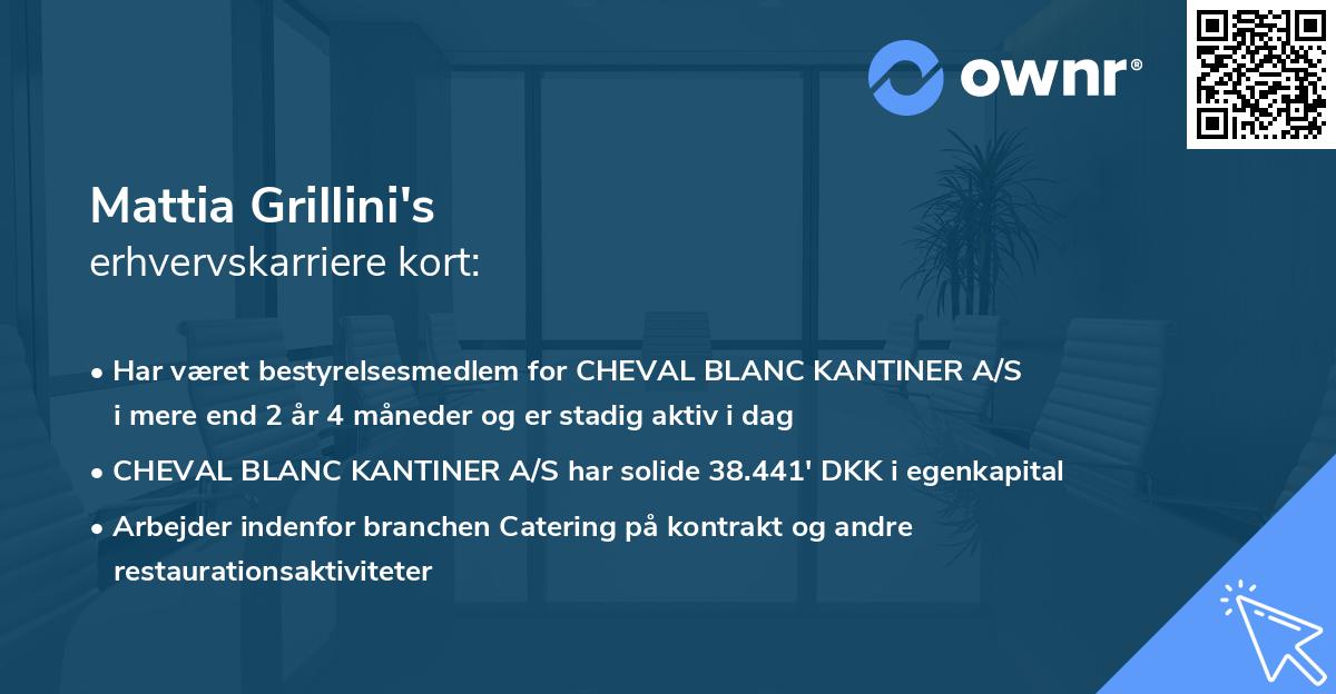 Mattia Grillini's erhvervskarriere kort