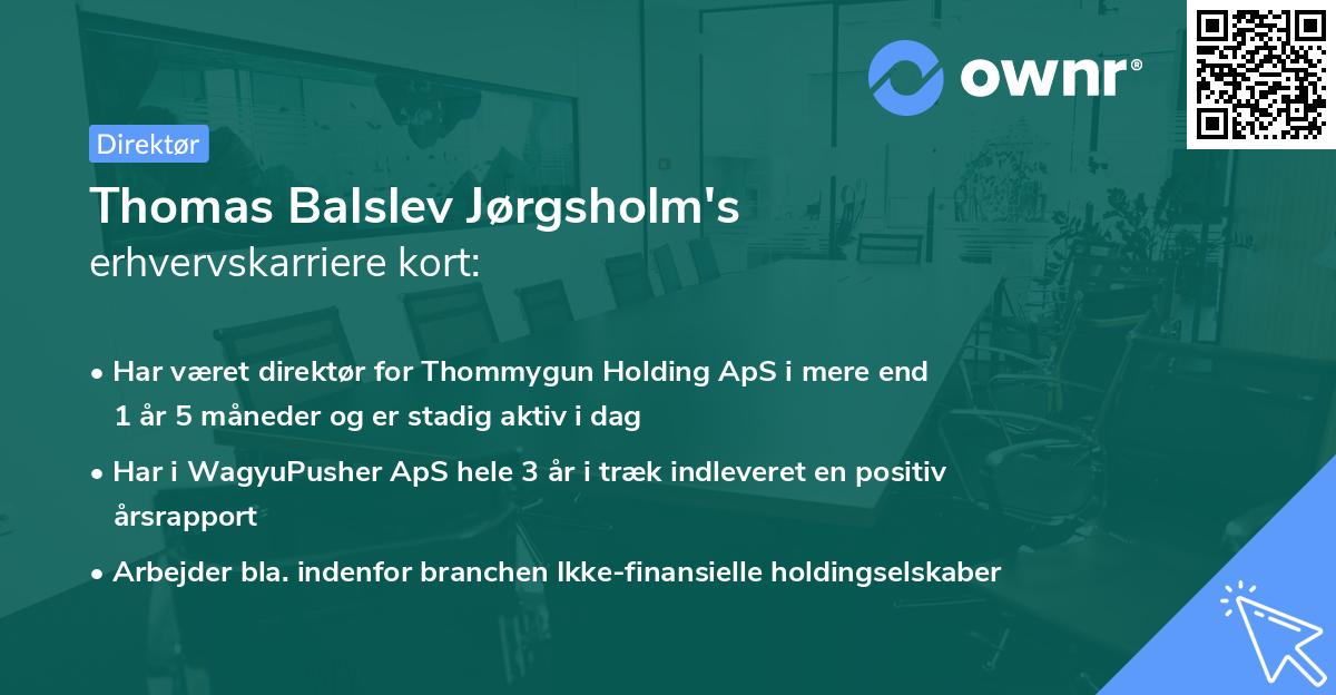 Thomas Balslev Jørgsholm's erhvervskarriere kort