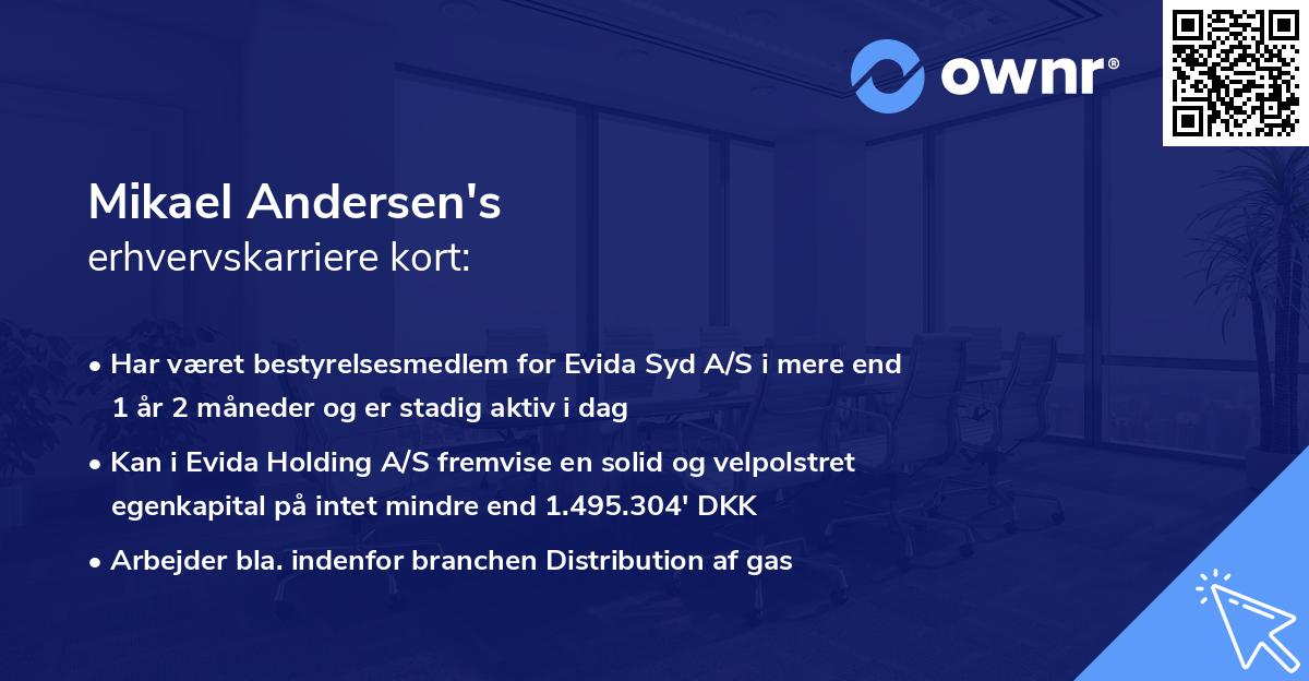 Mikael Andersen's erhvervskarriere kort