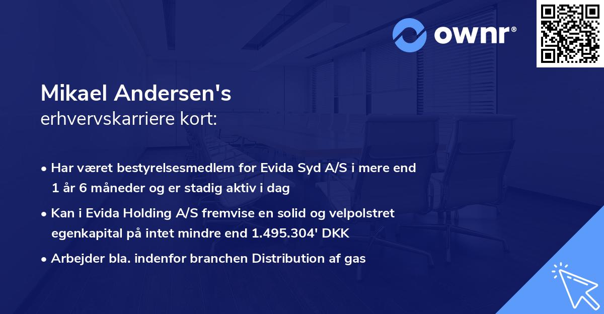 Mikael Andersen's erhvervskarriere kort