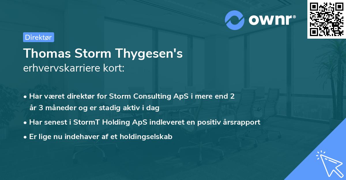 Thomas Storm Thygesen's erhvervskarriere kort