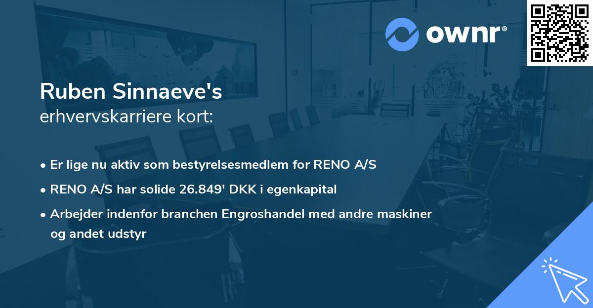 Ruben Sinnaeve's erhvervskarriere kort
