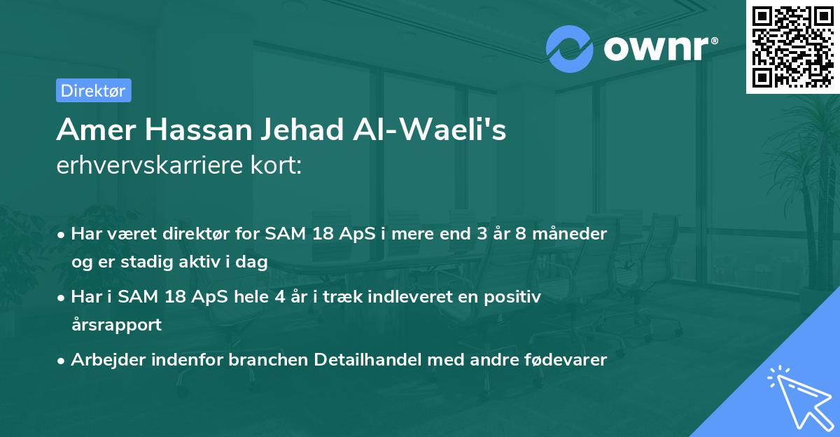 Amer Hassan Jehad Al-Waeli's erhvervskarriere kort
