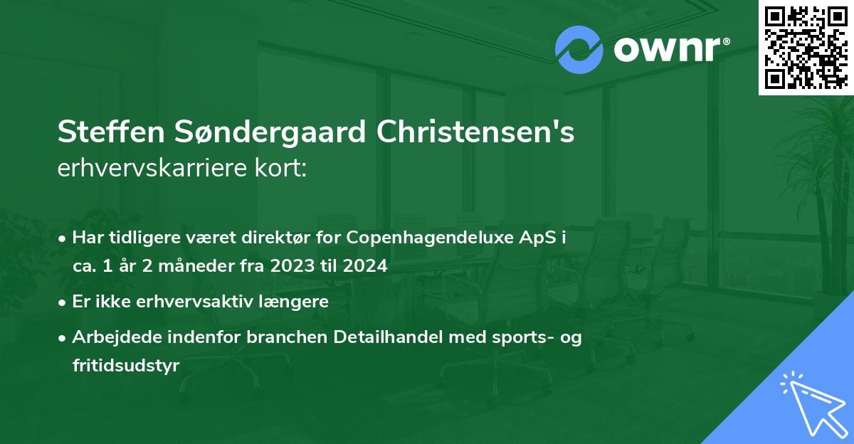 Steffen Søndergaard Christensen's erhvervskarriere kort