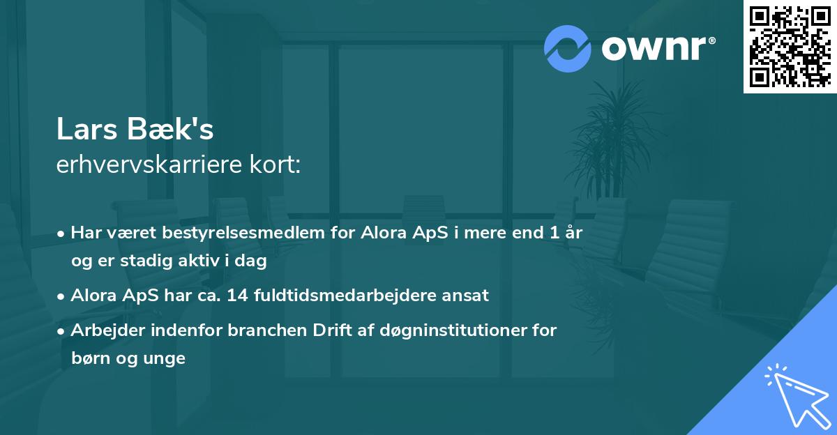 Lars Bæk's erhvervskarriere kort