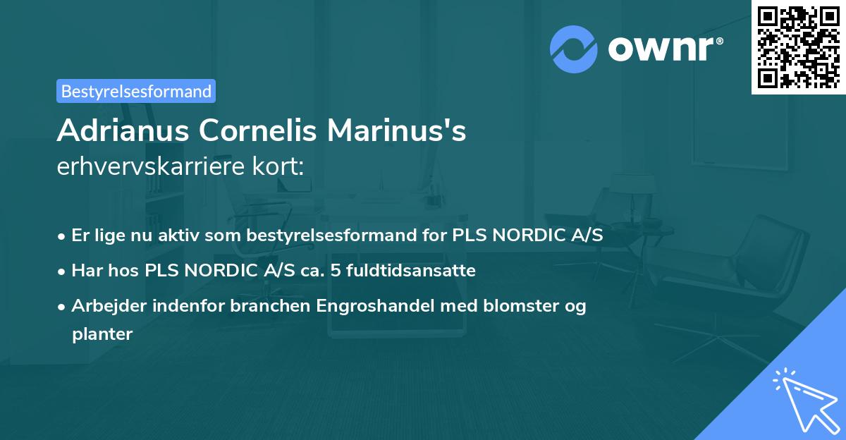 Adrianus Cornelis Marinus's erhvervskarriere kort