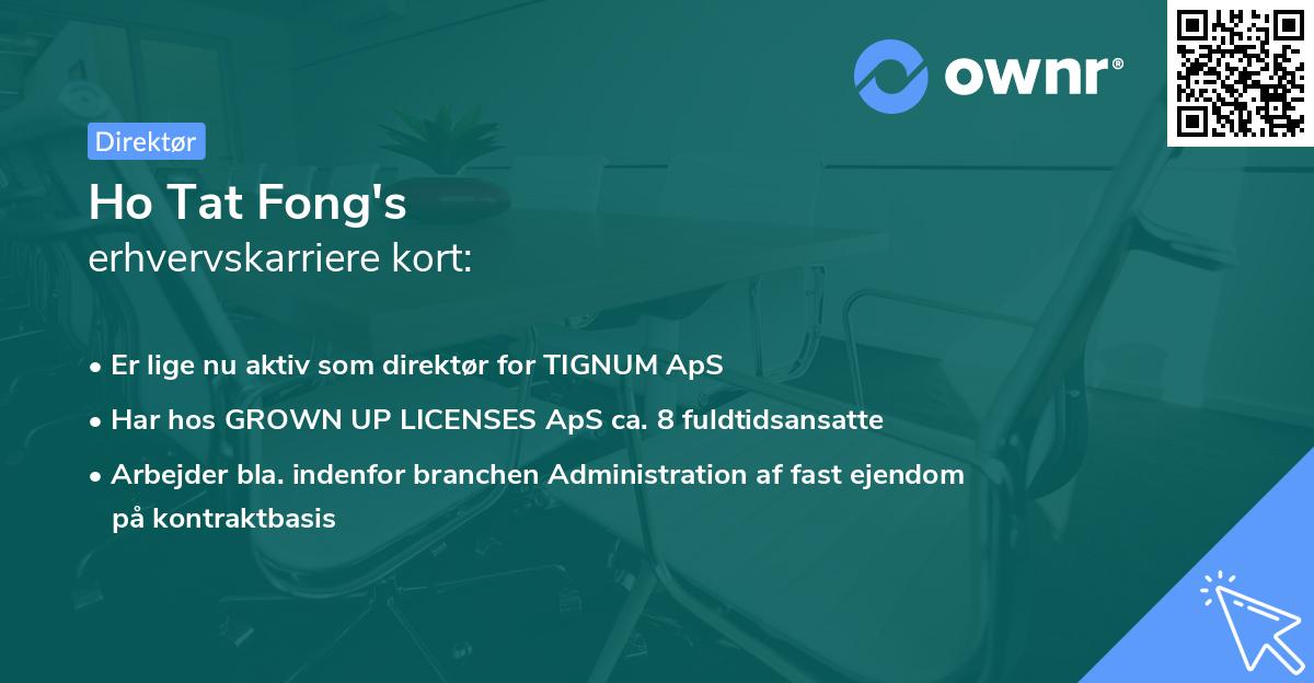 Ho Tat Fong's erhvervskarriere kort