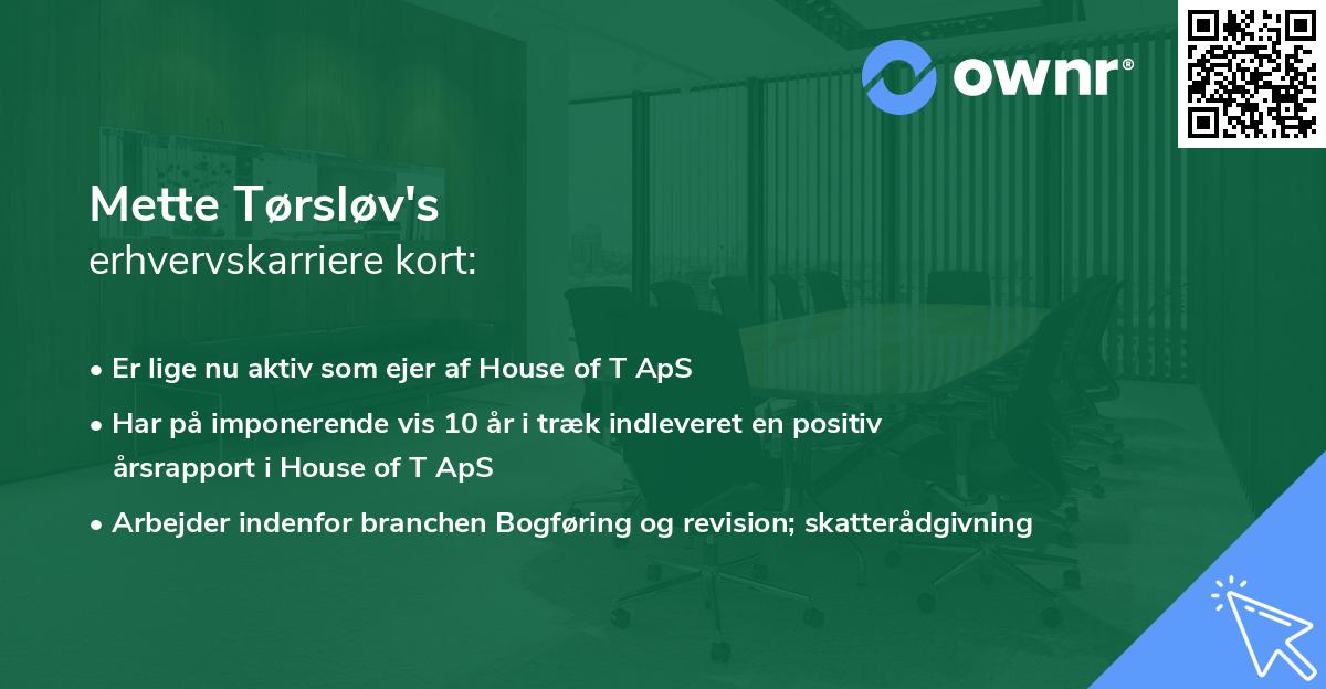Mette Tørsløv's erhvervskarriere kort