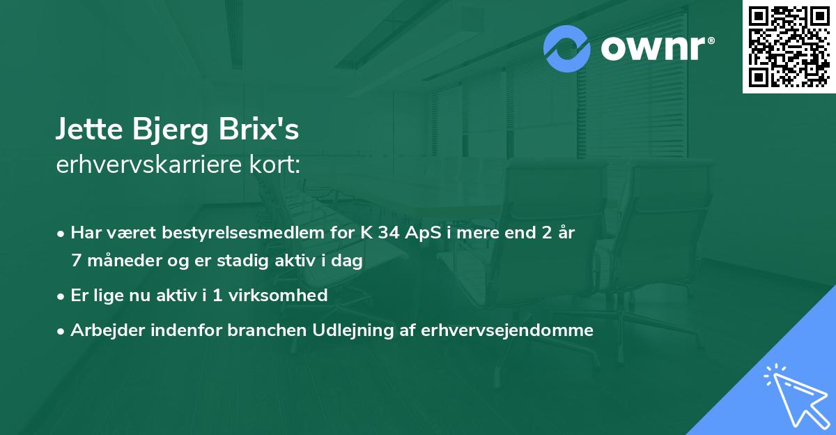 Jette Bjerg Brix's erhvervskarriere kort