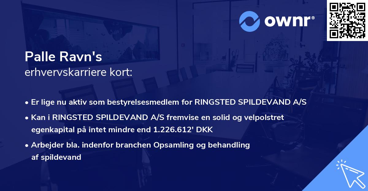 Palle Ravn's erhvervskarriere kort