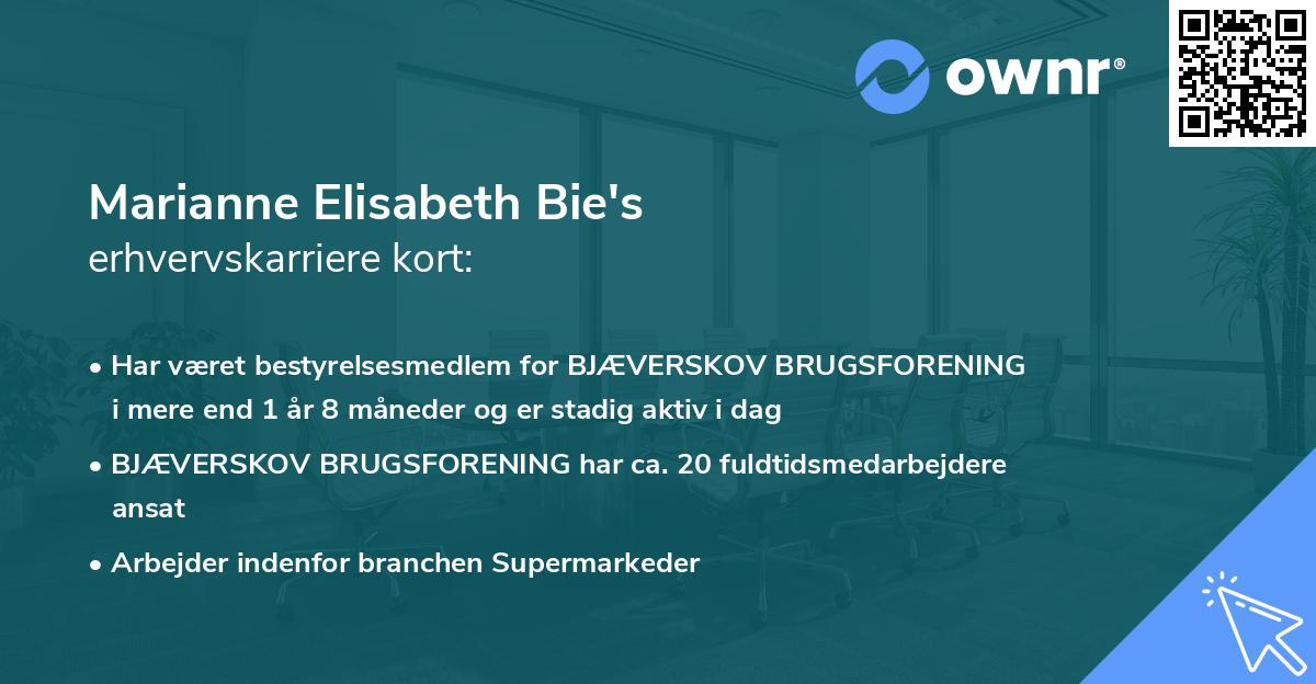 Marianne Elisabeth Bie's erhvervskarriere kort