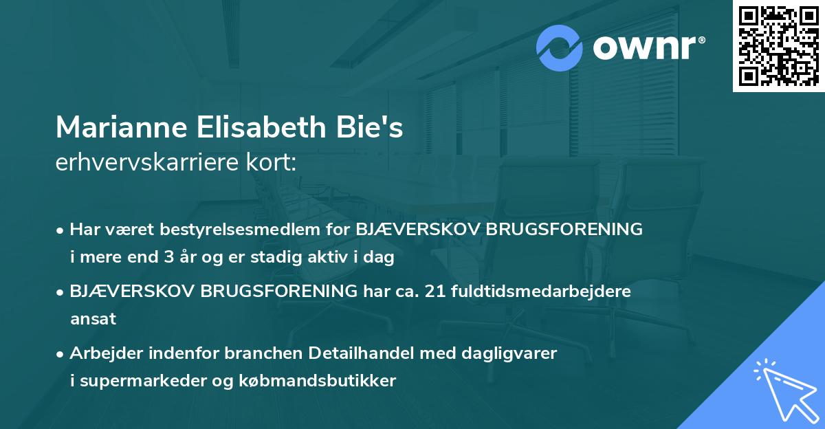 Marianne Elisabeth Bie's erhvervskarriere kort